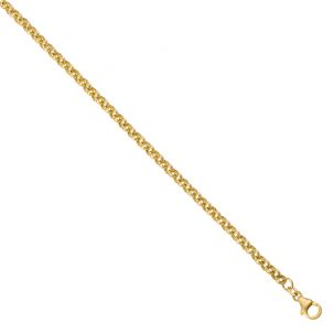 9ct Yellow Gold Polished Round Link Belcher Chain - 4mm - 18" - 24"