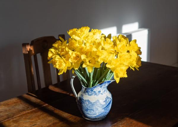 Mother's Day Gift Ideas: The Presents She Actually Wants